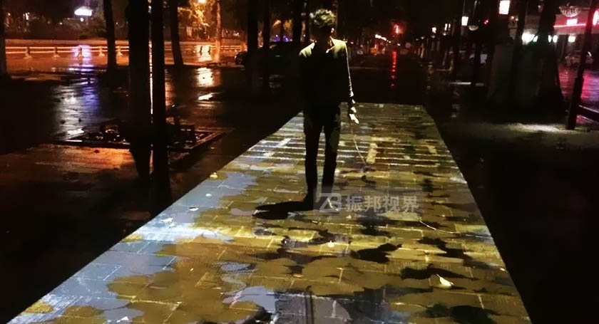 滥ͶӰЧչʾ